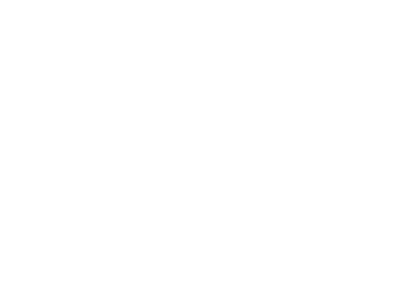 Ford Brasov